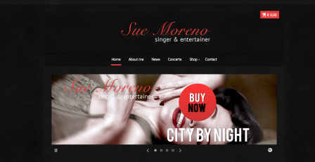 Launch new website www.SueMoreno.com